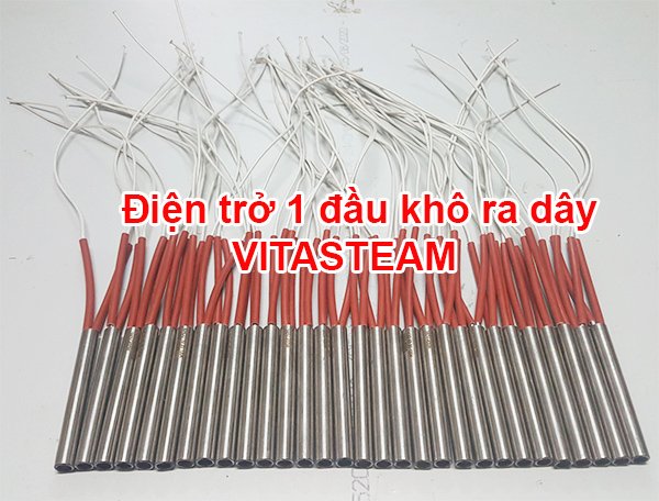 Điện trở 1 đầu khô ra dây