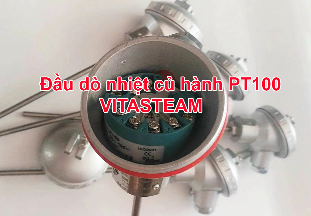 Đầu dò nhiệt củ hành PT100