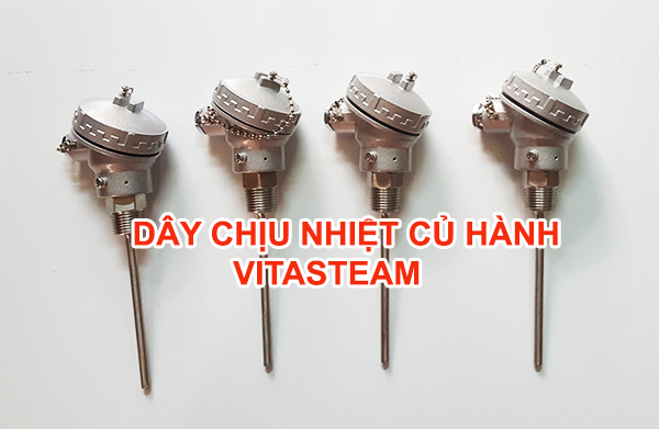 Điện trở dò nhiệt củ hành